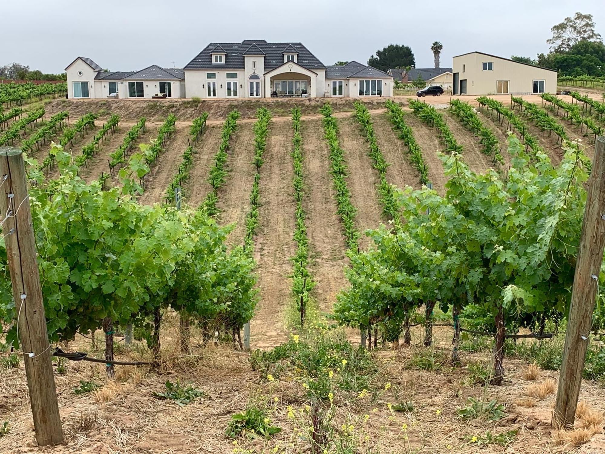 Domaine Chardonnay Bed & Breakfast Temecula Exterior photo
