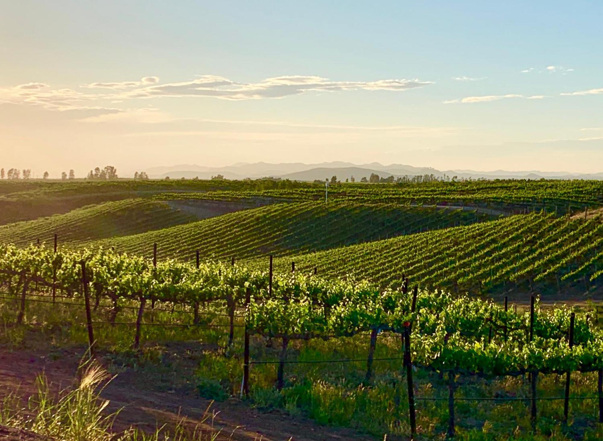 Domaine Chardonnay Bed & Breakfast Temecula Exterior photo